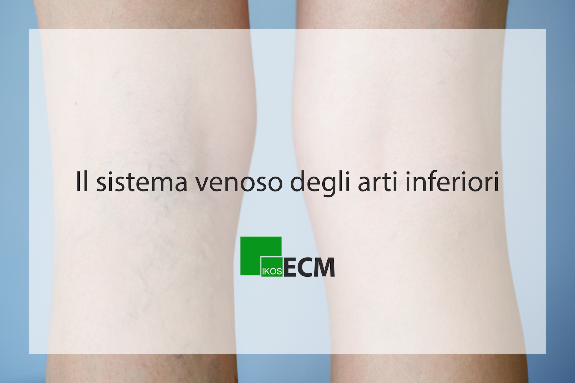 Il sistema venoso degli arti inferiori | Per i Professionisti | Ecm made  easy!